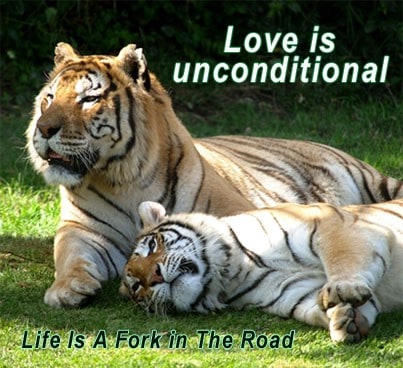 love-is-unconditional