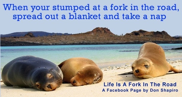 stumped-at-a-fork-in-the-road