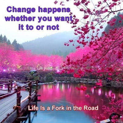 Since we can’t stop the force of change, the best thing to do is keeping changing before the c