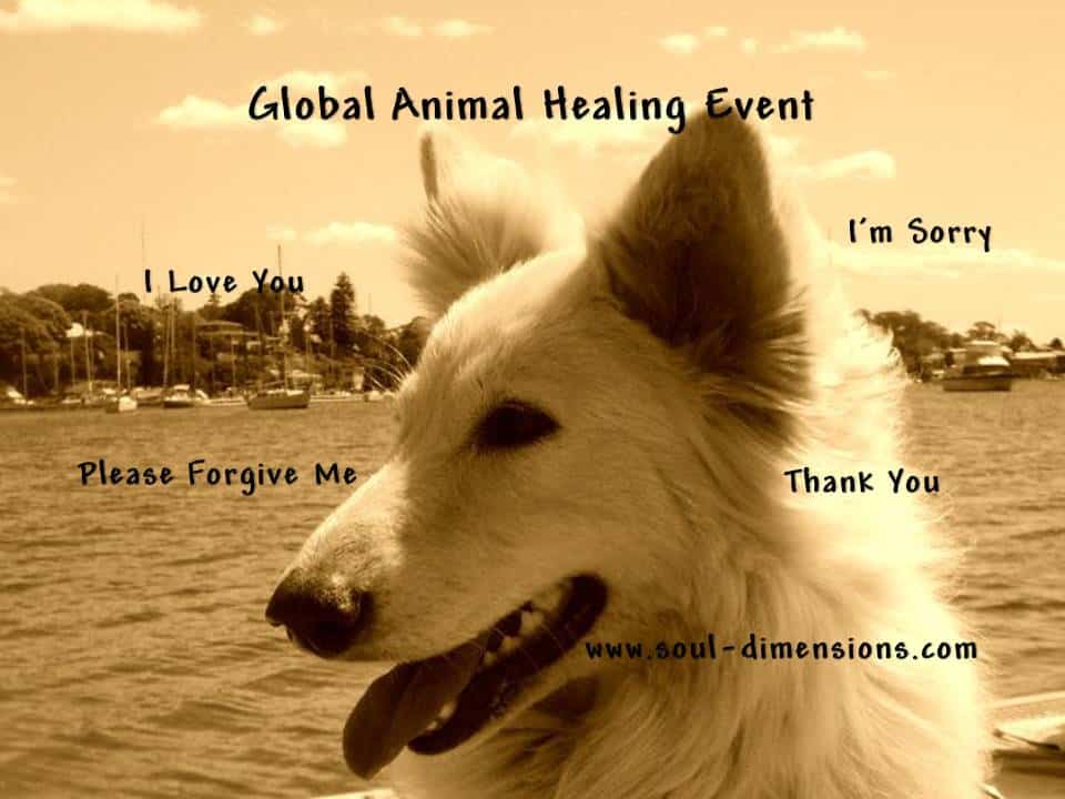 Please join us – FREE VIRTUAL EVENT – From Your Own Home! JUST LIGHT A CANDLE AND SAY A