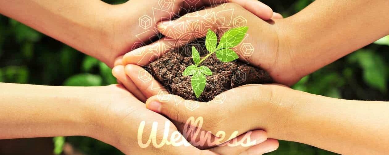 A Wonderful Journey – The Story of WU