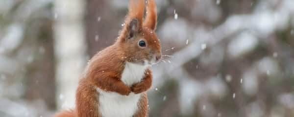 Snow Day Blessings!