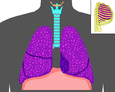 How has your breathing been today? I’m preparing for a talk and I decided to start the discuss