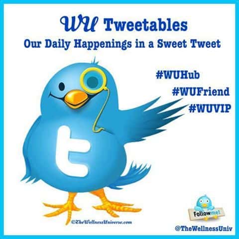 Happy #TransformativeTuesday #WUVIP’s and #WUFriend’s! It’s Daily Tweet time! R