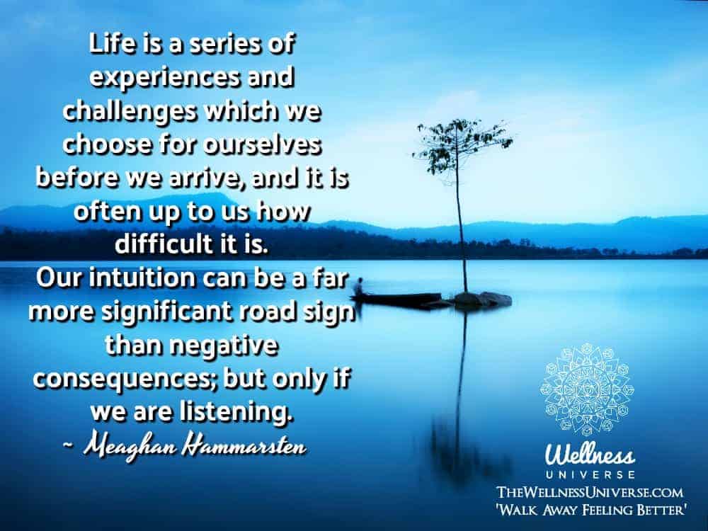 Life is a series of experiences and challenges which we choose for ourselves before we arrive, and i