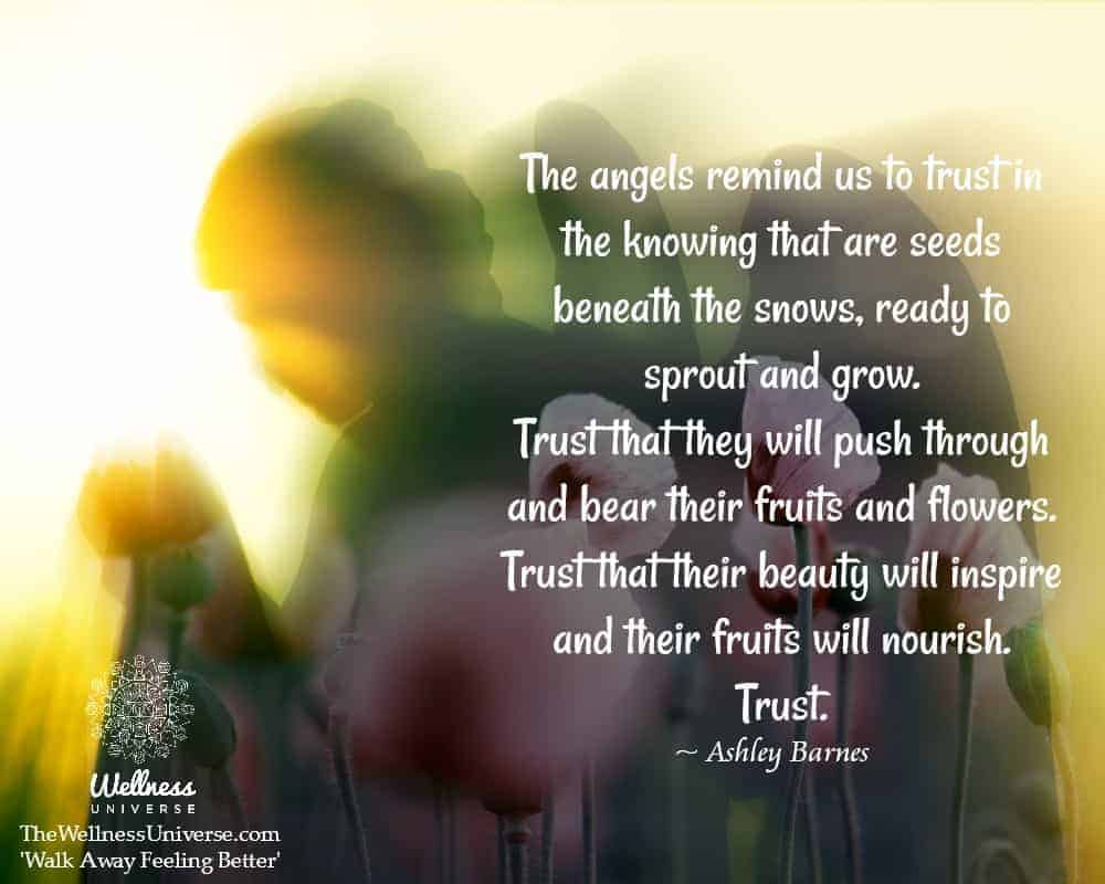 The angels remind us to trust in the knowing that are seeds beneath the snows, ready to sprout and g