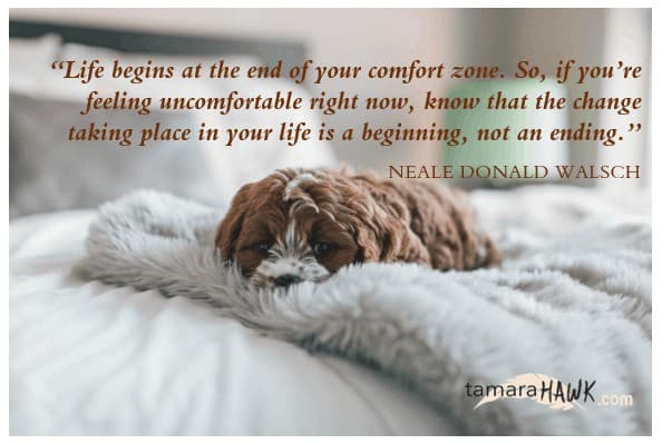 7 WAYS TO GET OUT OF YOUR COMFORT ZONE Are you stuck in your comfort zone? Are you bored as hell in
