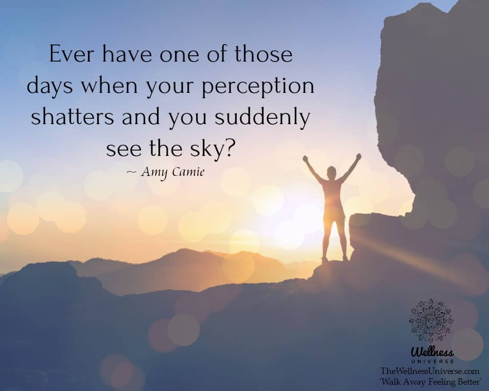 Ever have one of those days when your perception shatters and you suddenly see the sky? ~@AmyCamie #