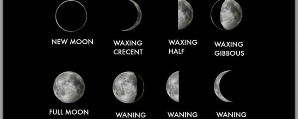 Understanding Our 8 Moon Cycles