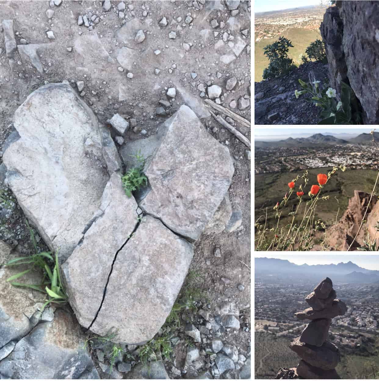 Trails are like life—-there are lessons to be learned every step of the way! This is what the trai