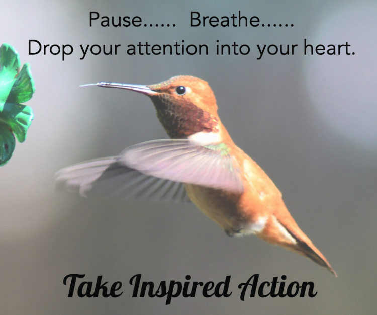 If I get into fearful or even frantic energy I am making choices from desperation. When I take a bre