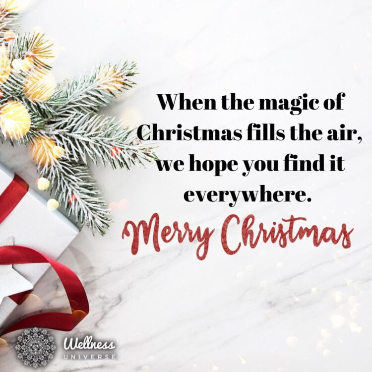 Merry Christmas 132170033_1564297513761775_104368738107043627_o