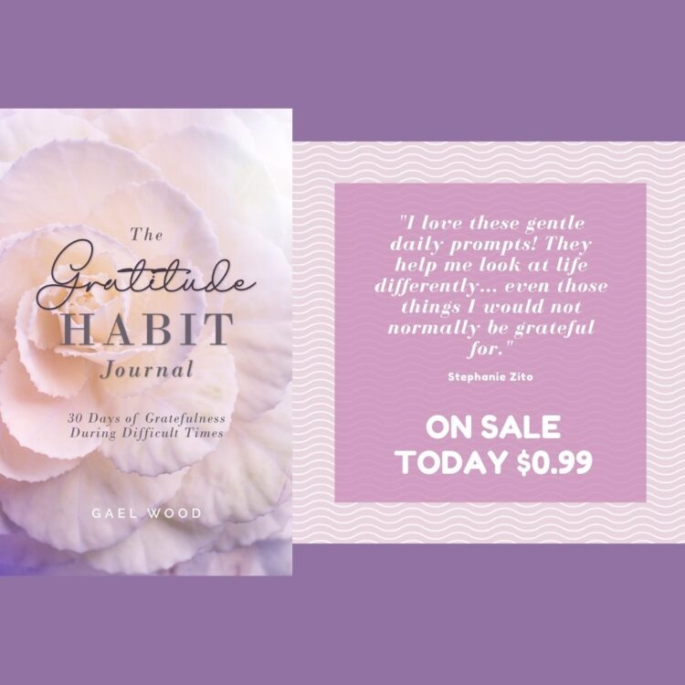 I’m so excited to share this with you! My new book The Gratitude Habit is on sale today for .99 ce