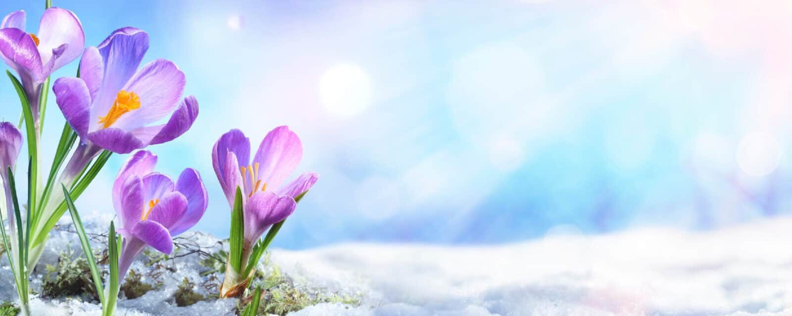 Blog Call – March 2021
