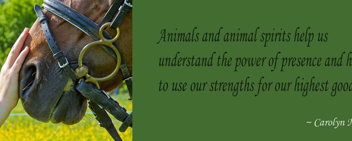 Animals and animal spirits help us understand the power of presence and how  to use our strengths for our highest good.