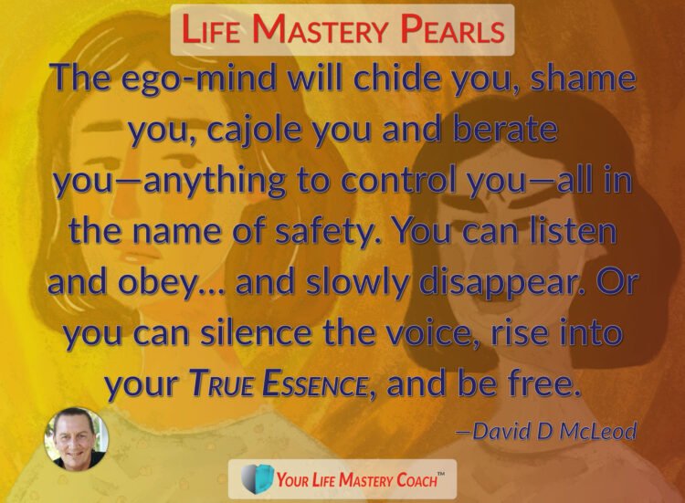 The ego-mind will chide you… https://lifemasterypearls.com/your-true-essence/ #LifeQuotes #Lif