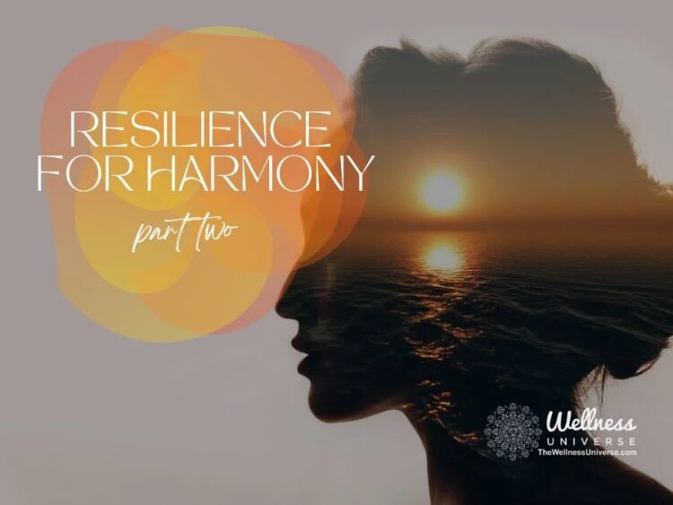 Work-Life Interface – Resilience for Harmony Building your resilience will help your work life