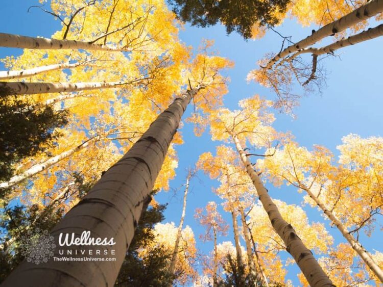 5 Simple Ways to Eliminate Stress Whether you are anxious about the events of the future or frustrat