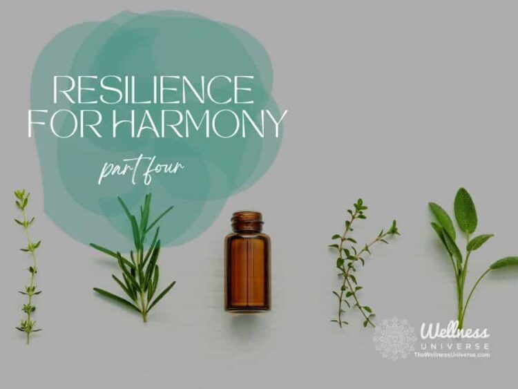 Work-Life Interface – Resilience for Harmony The Wellness Universe presents Resilience for Har