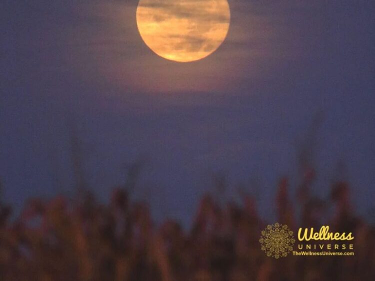 New Moon Rituals – Restoring Balance in your Life & Relationships The Libra New Moon on Septem