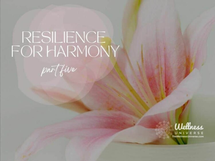 Work-Life Interface – Resilience for Harmony The Wellness Universe presents Resilience for Har