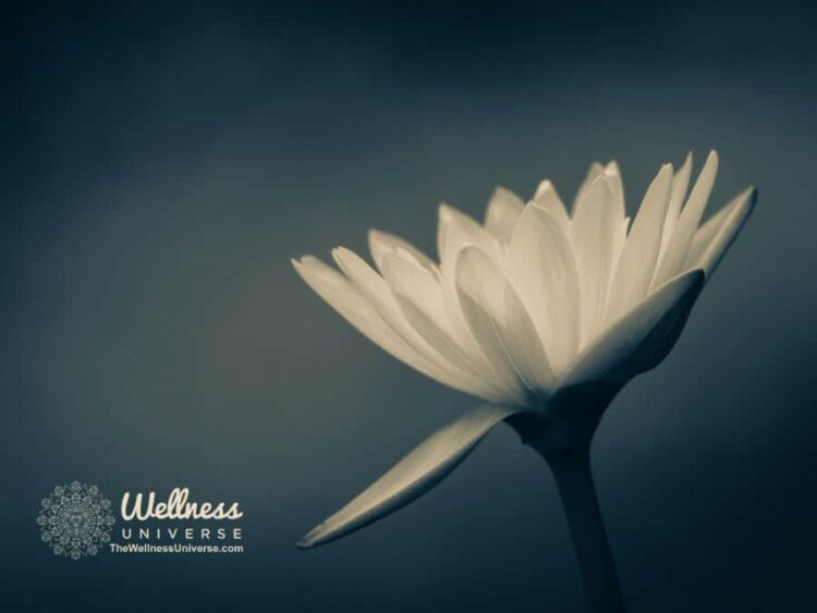 3 Aspects of Aging to Accept and Celebrate Accepting change can be a process, but the right mindset