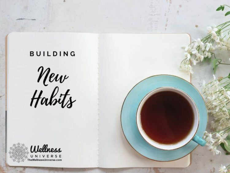 The One Thing That Needs Changing to Build A New Habit You have the power to retrain your mindset an