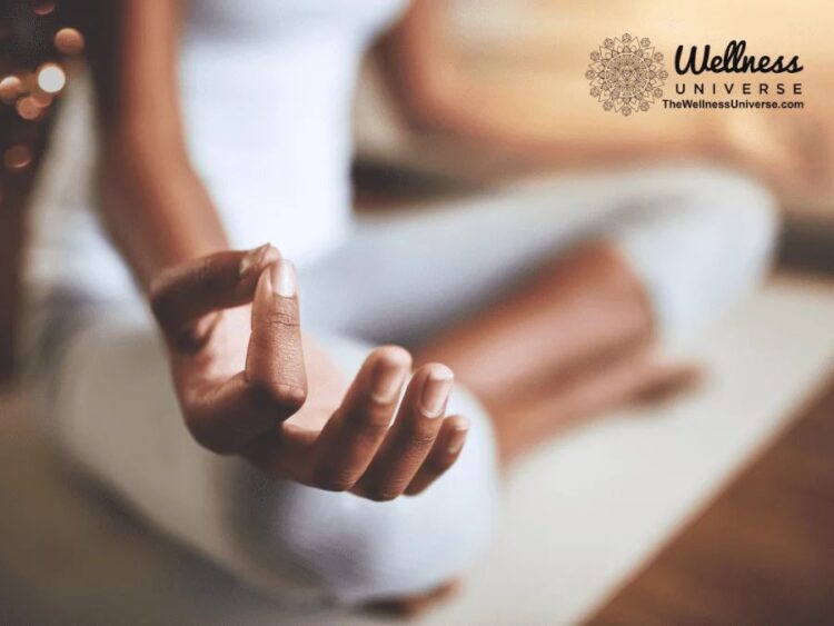 Resilience for the Holidays “Resilience for the Holidays: Tools, Tips, and Exercises for Wellb