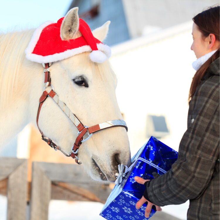 A Message from Santa, “Lots of Unhappiness, Maybe So. . . But What Would Happen If We