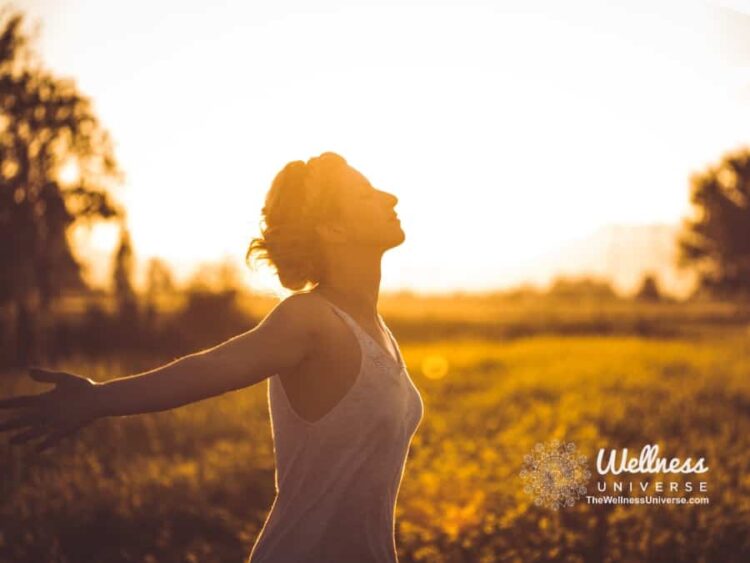 Taming Hypervigilance in Chronic Pain The nervous system is where hypervigilance lives. When we̵