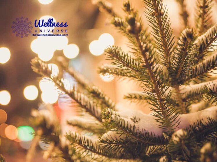 Marisa Ferrera’s Self-Care Tool for Holiday Wellbeing “Resilience for the Holidays: Tools, T