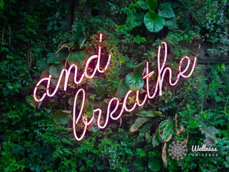 3 Mindset Tips to Diffuse the Tension In this article, The Wellness Universe shares a list of three
