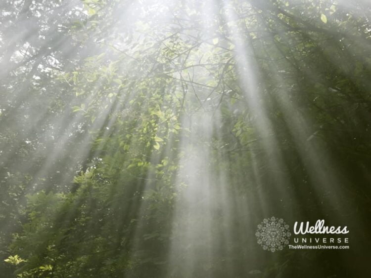 Self-Care True Stories: And One Day I Woke Up! By The Wellness Universe @thewellnessuniverse Leaders