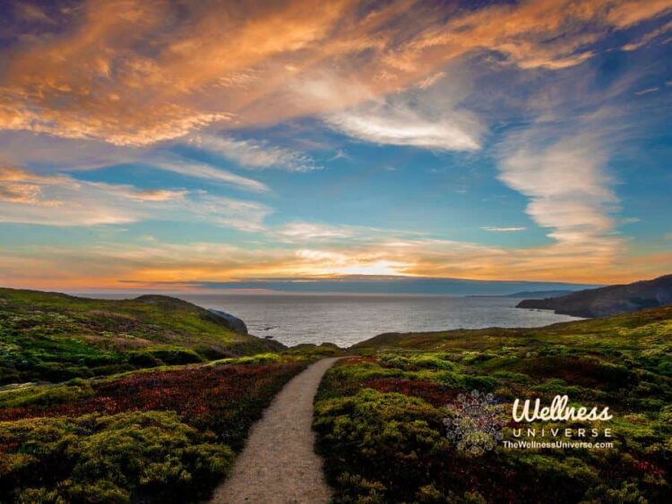 Self-Care True Stories: Healed From Shame By The Wellness Universe @thewellnessuniverse Leaders from