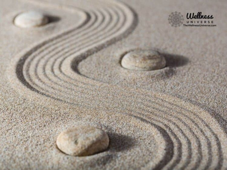 Book Feature: Sacred Path to Wellness By The Wellness Universe @thewellnessuniverse The Wellness Uni