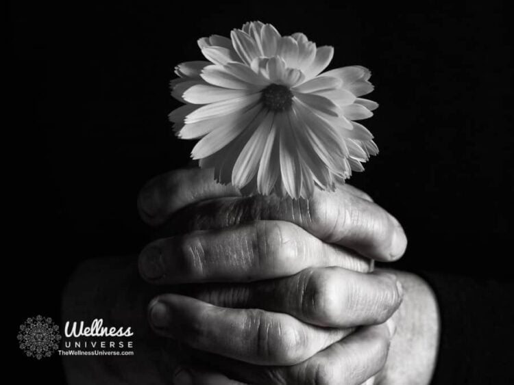 Emergency Relief & Reset – Understanding Grief By The Wellness Universe @thewellnessuniverse L