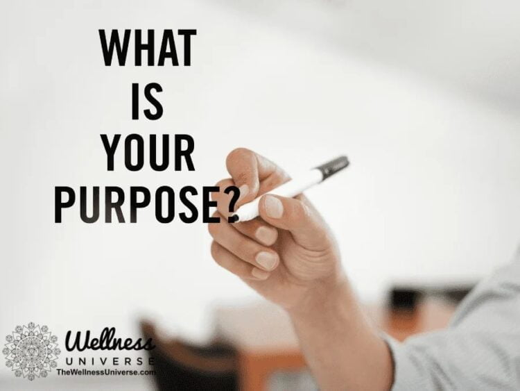 Better Your Mental Health: Finding Meaning and Purpose By The Wellness Universe @thewellnessuniverse