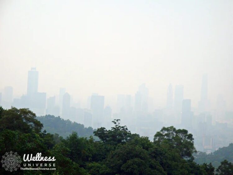 The Impact of Forest Fires on Air Quality and Public Health By The Wellness Universe @thewellnessuni