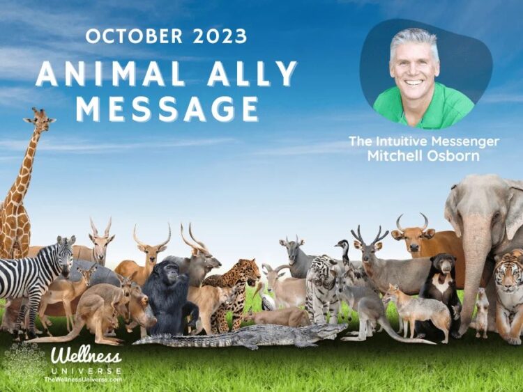 Animal Ally Message for October 2023 with Mitchell Osborn By Mitchell Osborn @mitchellosborn Tune in