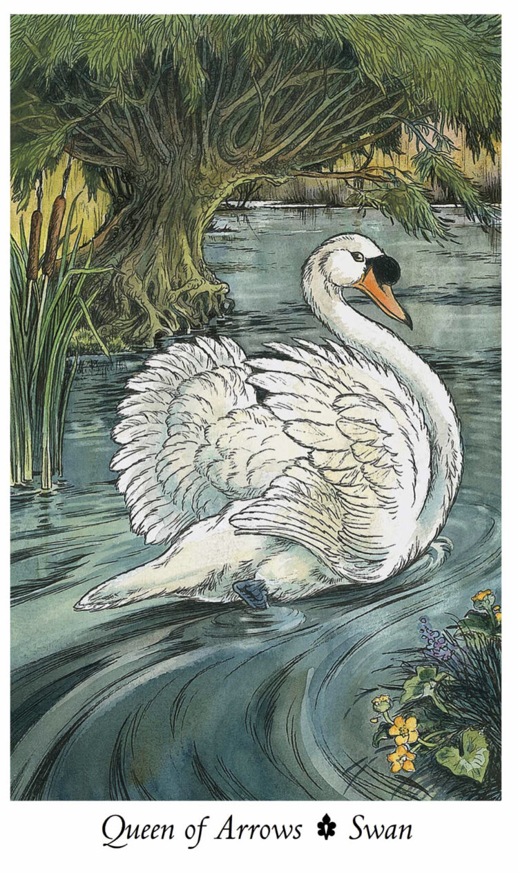 “Today’s a great day to restate & reinforce your boundaries .” Queen Of Arrows Swan –