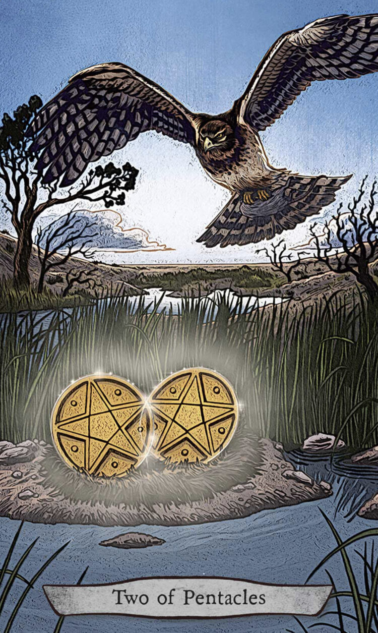 “Today’s a great day to juggle things just a little longer.” Two Of Pentacles – Animal T
