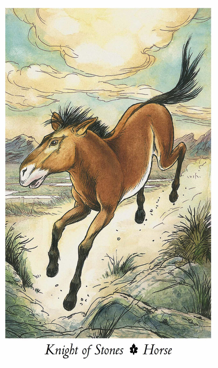 “Today’s a great day to kick your heels up.” Knight Of Stones – Wild Wood Tarot Deck Joi