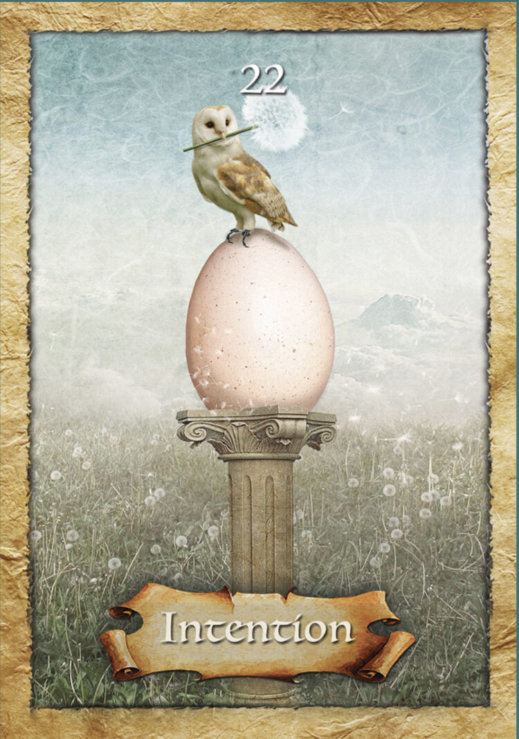 “Today’s a great day to allow the Universe to handle the details.” Intention – The Encha