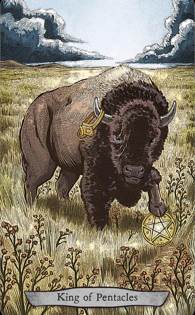 “Today’s a great day to claim your space & set boundaries.” King Of Pentacles – Anim