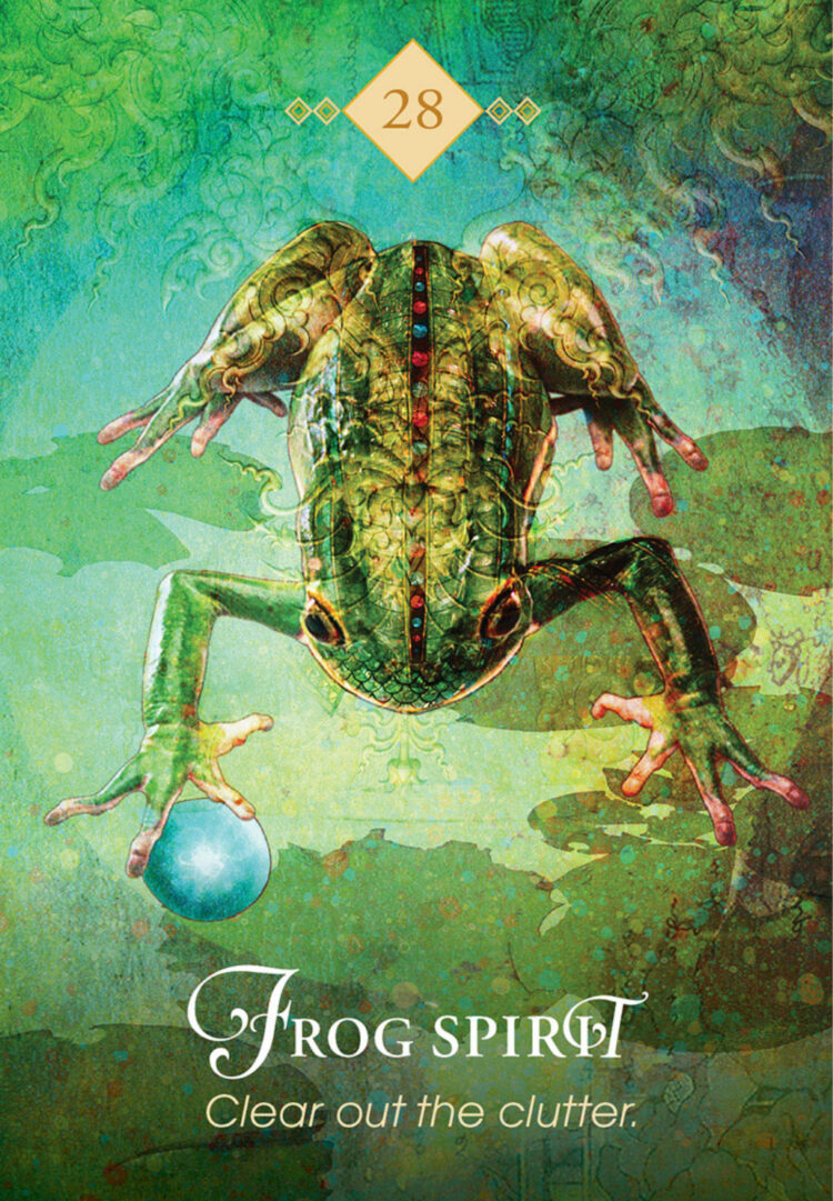 “Today’s a great day to streamline your life.” Frog Spirit – Spirit Animal Oracle Join m