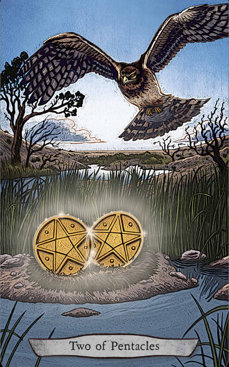 “Today’s a great day to keep a close watch on your projects.” Two Of Pentacles – Animal