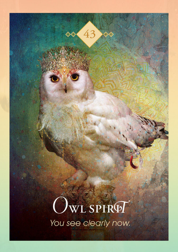 “Today’s a great day to check the reality of what you are seeing.” Owl Spirit – Spirit A