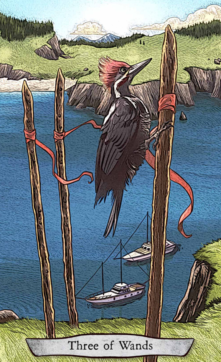 “Today’s a great day to allow something wonderful into your life.” Three Of Wands (WoodPecker)