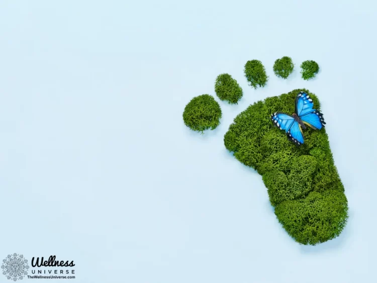 Building a Sustainable Routine By The Wellness Universe @thewellnessuniverse In this blog, we will d
