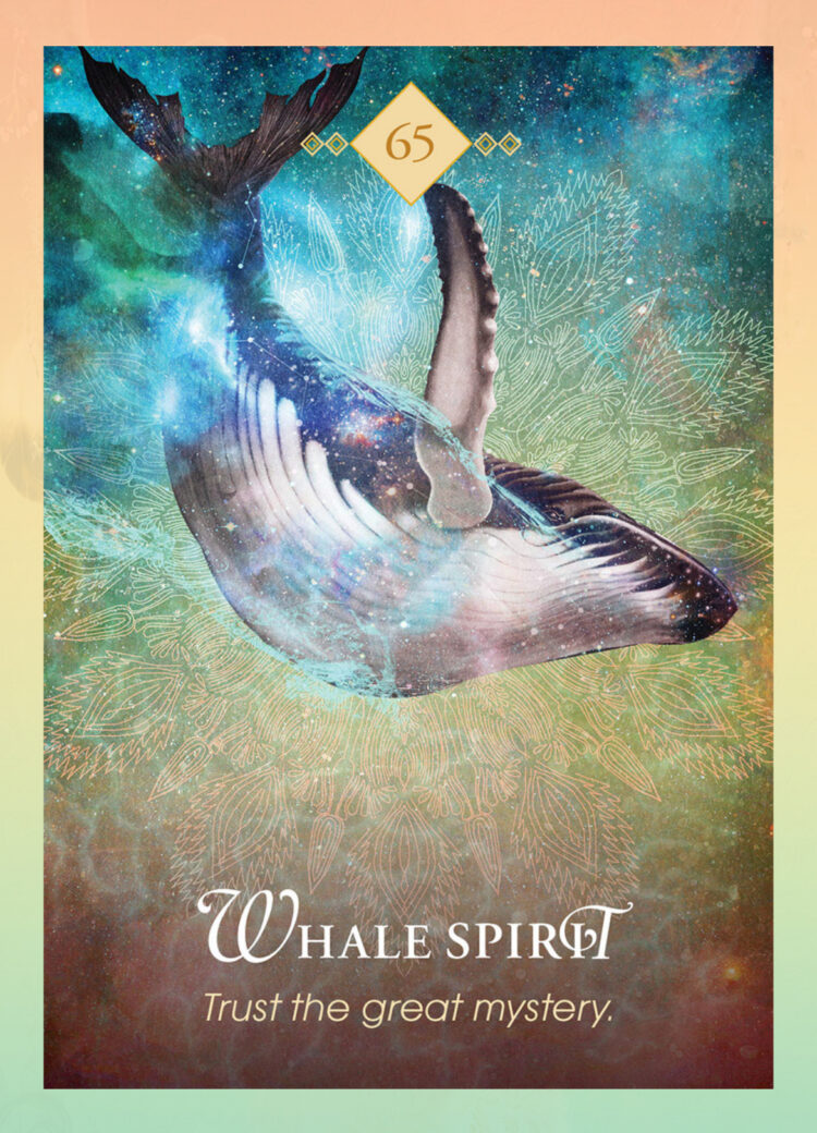 “Today’s a great day to trust without trying to understand.” Whale Spirit – Spirit Anima
